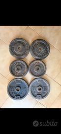 Palestra Pesi Dischi