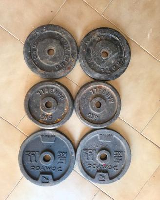 Palestra Pesi Dischi