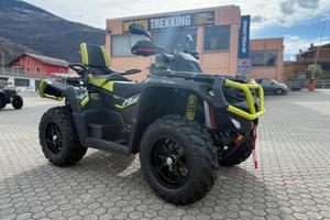 Quad Aodes Pathcross 650 Anniversary Edition