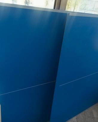 assi regolamentari per tavolo ping pong