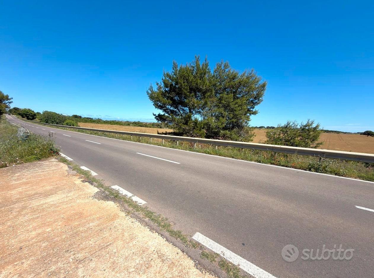Terreno agricolo a due passi dal mare - Vista 3