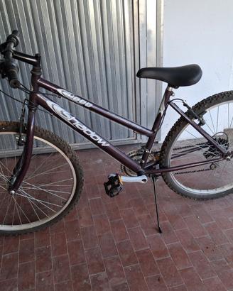 Mountain Bike donna