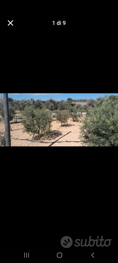 Terreno agricolo - Vista 5