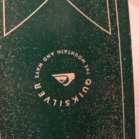 Skateboard long board Quicksilver