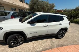 Jeep compass business