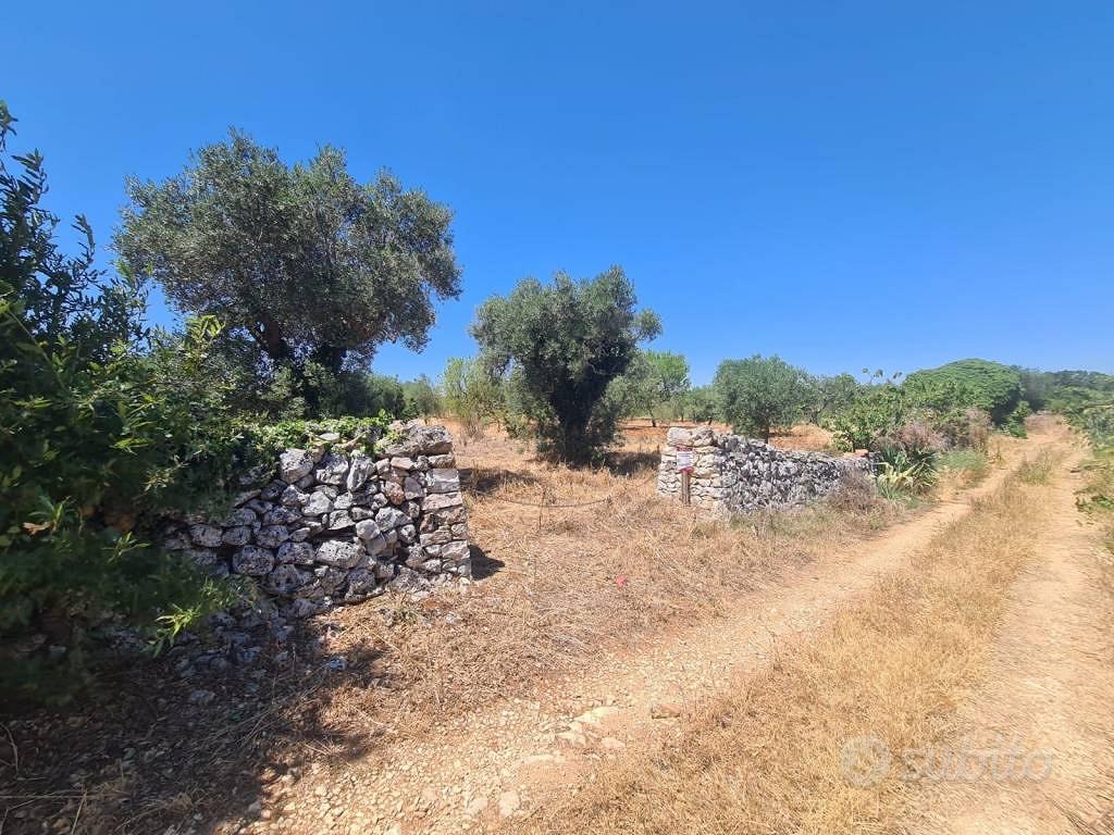 Terreno di 2900 m² a Alberobello - Vista 2