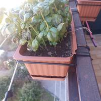 Fioriere per Balconi