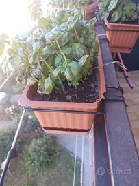 Fioriere per Balconi