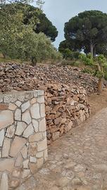 pietra per giardini