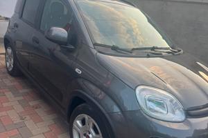 panda 1.0 hybrid 
