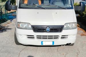 Fiat 2300 mjt roller