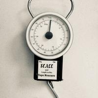 Bilancia Pesa valige