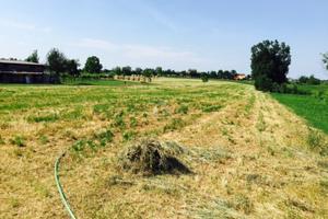 Azienda agricola in Masone/Marmirolo