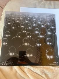 Vinile canerandagio pt.1