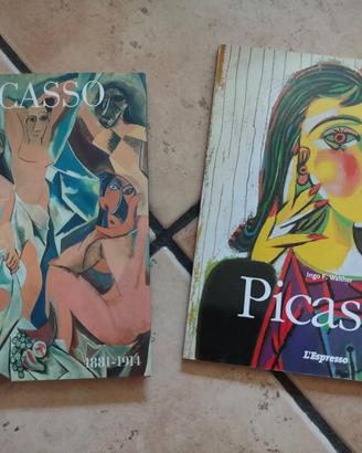 2 libri PICASSO  biografie illustrate