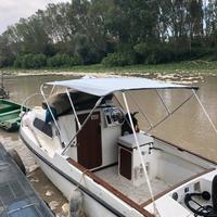 Pilotina tuccoli moby dick