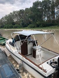 Pilotina tuccoli moby dick