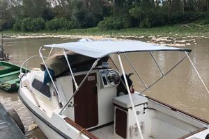 Pilotina tuccoli moby dick