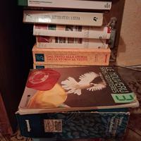 Libri di scuola superiore
