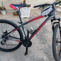 Bici MTB CASADEI MOD. KUSTER ALTUS 29"