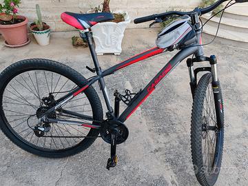 Bici MTB CASADEI MOD. KUSTER ALTUS 29"