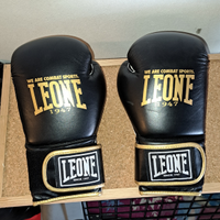 Guantoni Box Leone