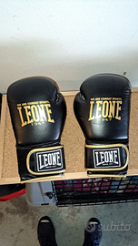 Guantoni Box Leone