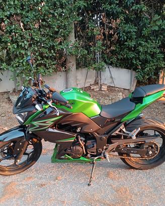 Kawasaki Z300 ABS
