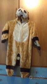 Vestito carnevale procione