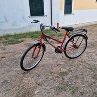 Bicicletta tenuta bene 