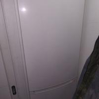 Frigo