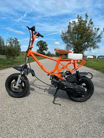 Graziella con blocco minarelli