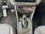 Immagine 16