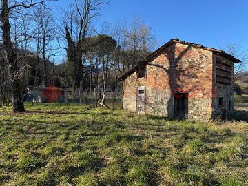 Rustico/Casale/Corte Gallicano [UM205GBVCG]