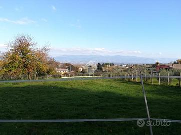 TER. AGRICOLO A MONTE COMPATRI
