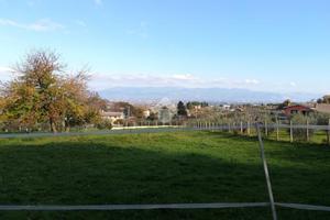 TER. AGRICOLO A MONTE COMPATRI