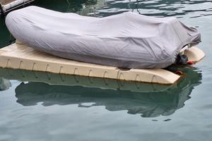 Pedana moto d'acqua/tender Williams 