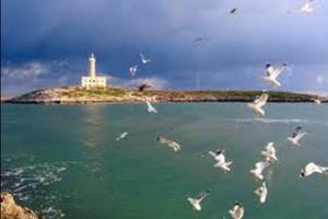 Sul mare. Disponibile 11 /18 luglio