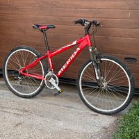 Bicicletta MBT da Ragazzo