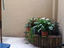 Immagine 6