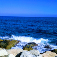 Direttamente sul mare