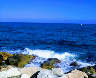 Direttamente sul mare