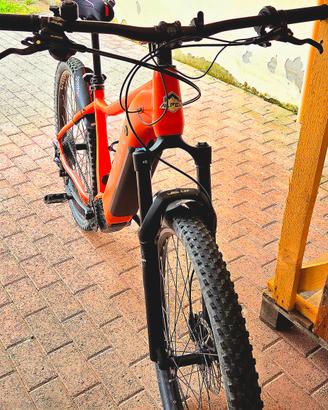 EMTB ALPEK