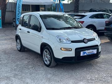 FIAT Panda Hybrid FireFly 1.0cc 70cv