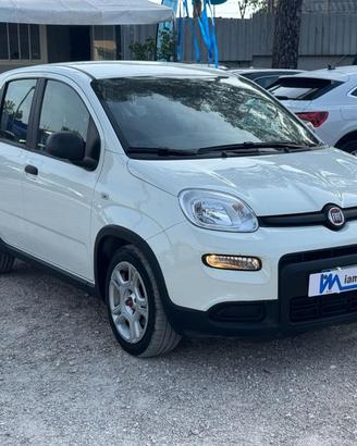 FIAT Panda Hybrid FireFly 1.0cc 70cv