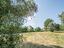 Immagine 10