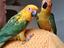 Immagine 3