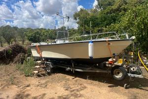 Barca motore e carrello