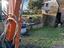 Immagine 6