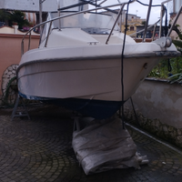 Barca sessa Key west 20 con yamaha 115 CV 4t